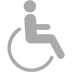 Transport for disabled